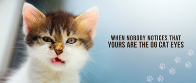 10 Funny Makeup Memes Courtesy Your Favorite Spirit Animals