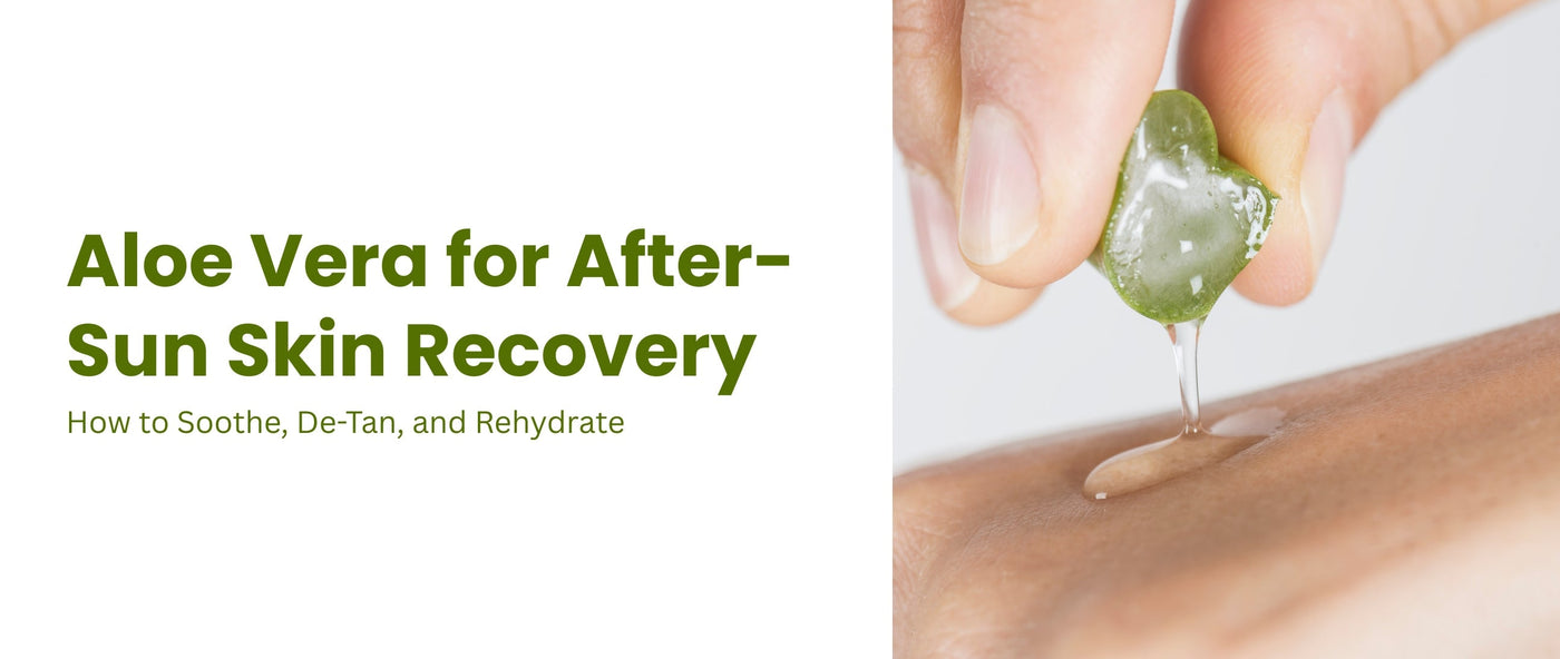 Aloe Vera for After-Sun Skin Recovery and De-Tan  Faces Canada