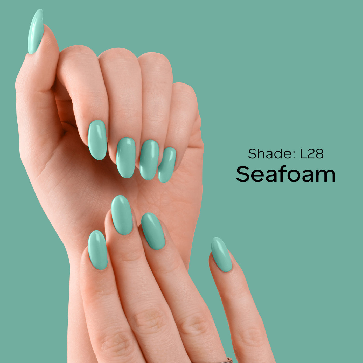 #color_seafoam-celery-spring-teal-seal