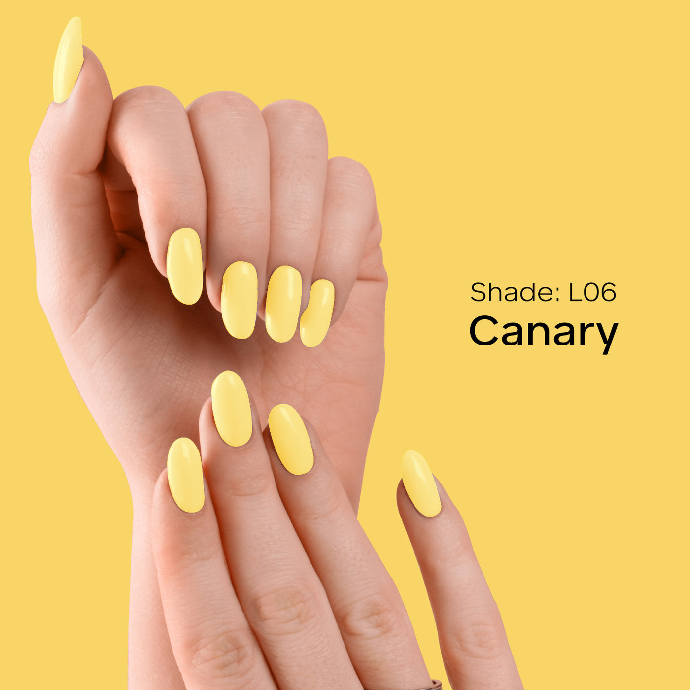 #color_canary-l06